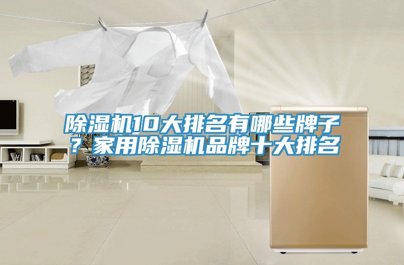 除濕機(jī)10大排名有哪些牌子？家用除濕機(jī)品牌十大排名