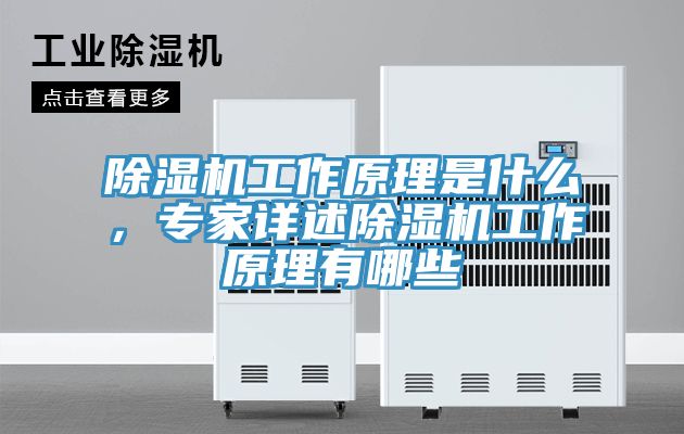 除濕機工作原理是什么，專家詳述除濕機工作原理有哪些