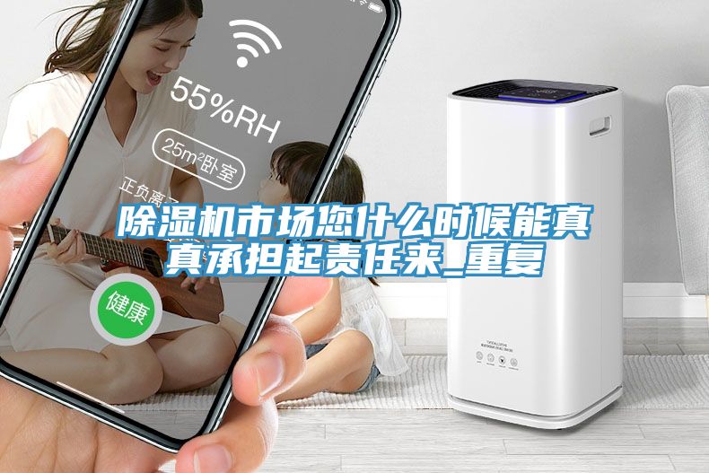 除濕機(jī)市場您什么時候能真真承擔(dān)起責(zé)任來_重復(fù)