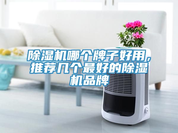 除濕機哪個牌子好用，推薦幾個最好的除濕機品牌