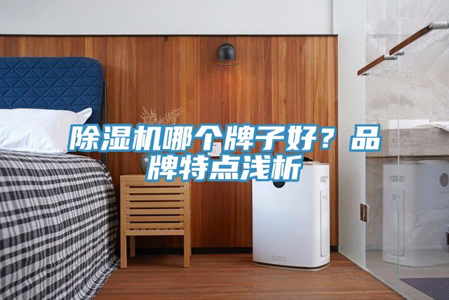 除濕機哪個牌子好？品牌特點淺析