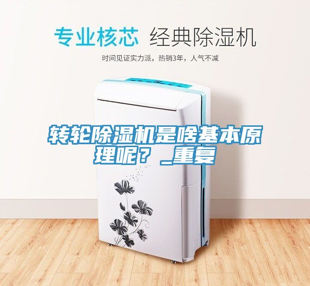 轉(zhuǎn)輪除濕機是啥基本原理呢？_重復