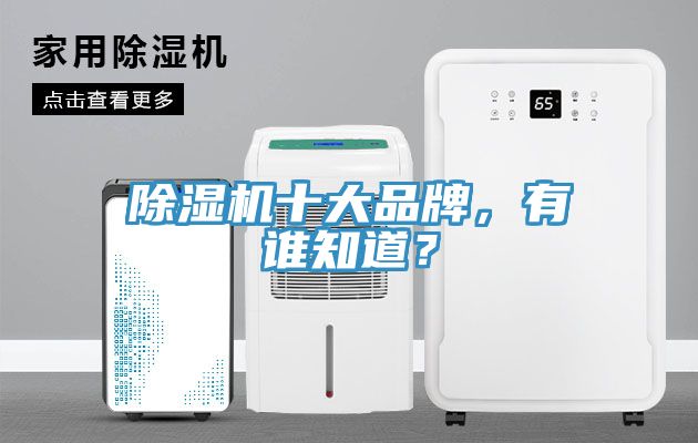 除濕機十大品牌，有誰知道？