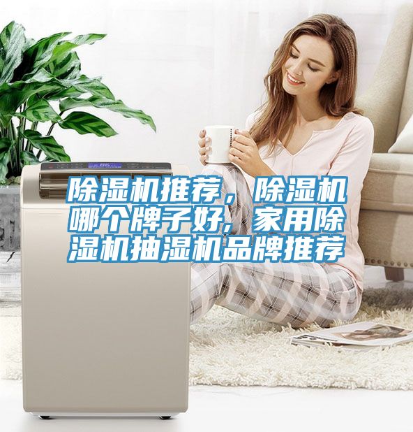 除濕機(jī)推薦，除濕機(jī)哪個(gè)牌子好, 家用除濕機(jī)抽濕機(jī)品牌推薦