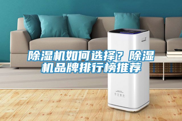 除濕機如何選擇?除濕機品牌排行榜推薦