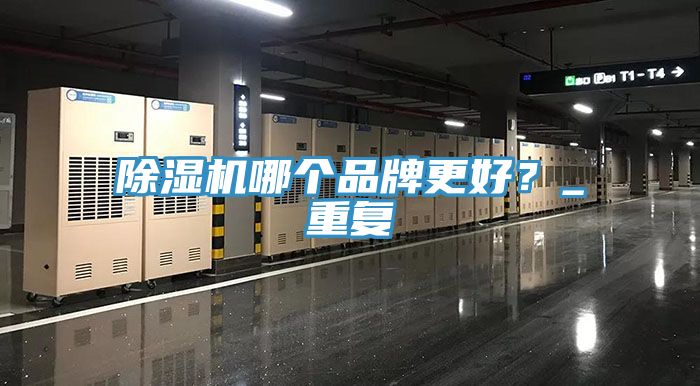 除濕機哪個品牌更好？_重復