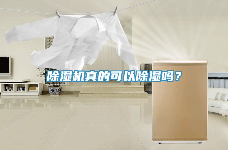除濕機真的可以除濕嗎？