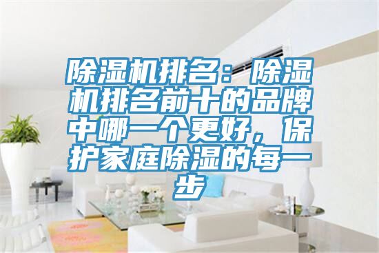 除濕機(jī)排名：除濕機(jī)排名前十的品牌中哪一個(gè)更好，保護(hù)家庭除濕的每一步