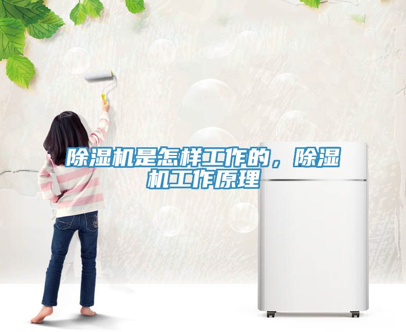 除濕機是怎樣工作的，除濕機工作原理