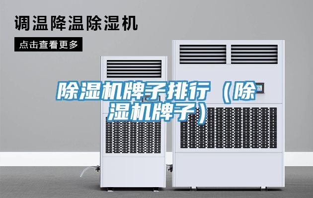 除濕機牌子排行(除濕機牌子)