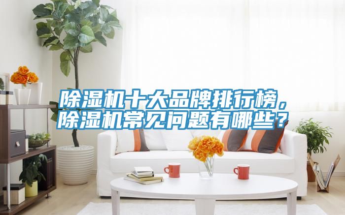 除濕機十大品牌排行榜，除濕機常見問題有哪些？