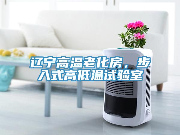 遼寧高溫老化房,步入式高低溫試驗室