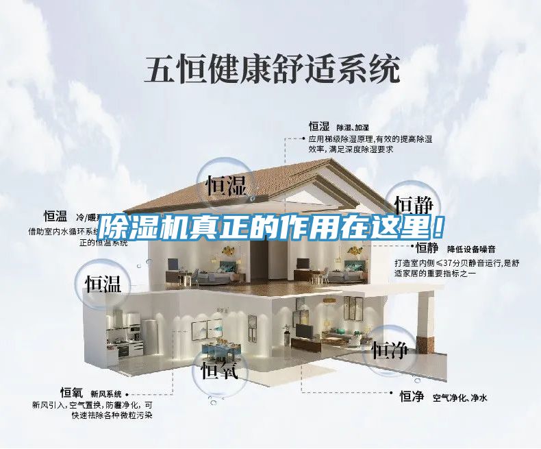 除濕機真正的作用在這里!