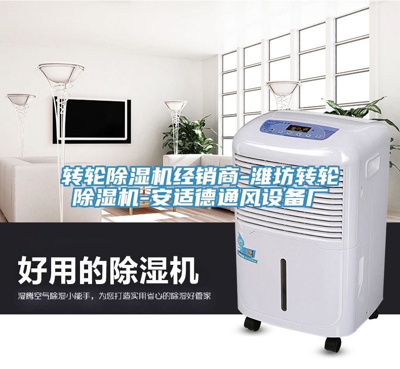 轉(zhuǎn)輪除濕機經(jīng)銷商-濰坊轉(zhuǎn)輪除濕機-安適德通風(fēng)設(shè)備廠