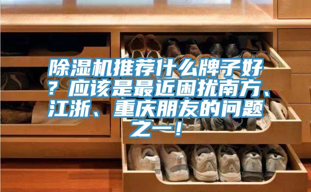 除濕機推薦什么牌子好？應該是最近困擾南方、江浙、重慶朋友的問題之一！