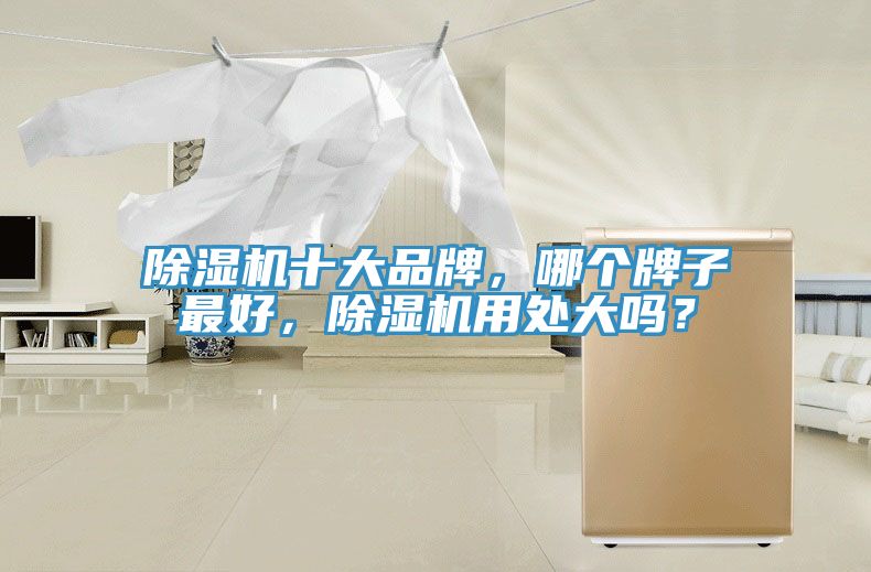 除濕機十大品牌，哪個牌子最好，除濕機用處大嗎？