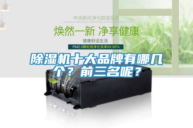 除濕機十大品牌有哪幾個？前三名呢？
