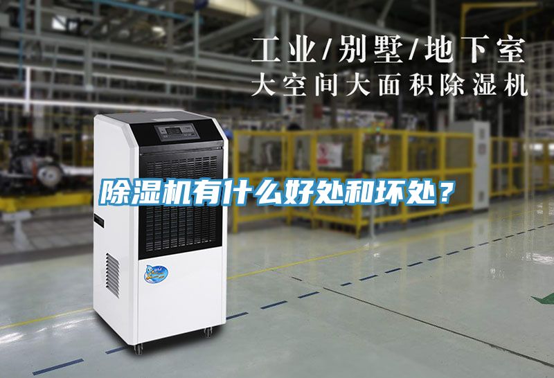 除濕機有什么好處和壞處?