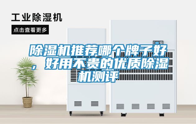 除濕機推薦哪個牌子好，好用不貴的優質除濕機測評