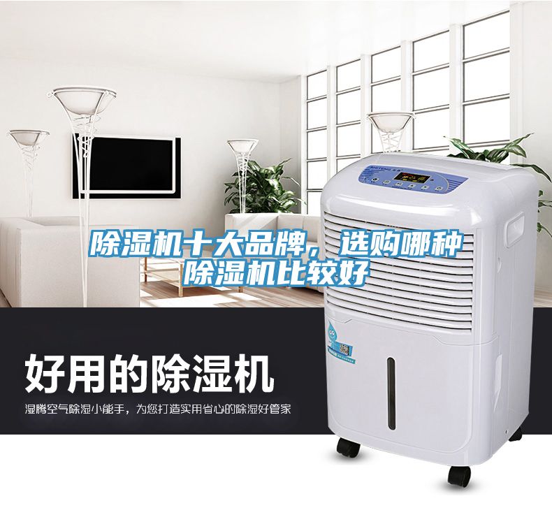 除濕機十大品牌，選購哪種除濕機比較好