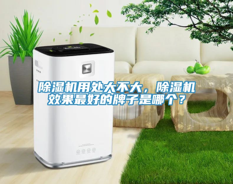 除濕機用處大不大,除濕機效果最好的牌子是哪個?