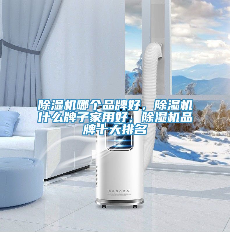 除濕機哪個品牌好，除濕機什么牌子家用好，除濕機品牌十大排名