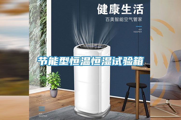 節能型恒溫恒濕試驗箱