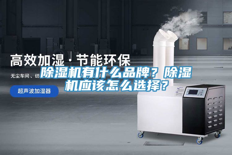 除濕機有什么品牌？除濕機應該怎么選擇？