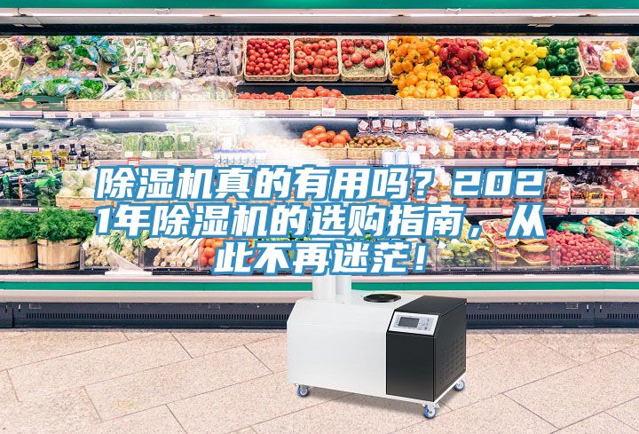 除濕機真的有用嗎？2021年除濕機的選購指南，從此不再迷茫！