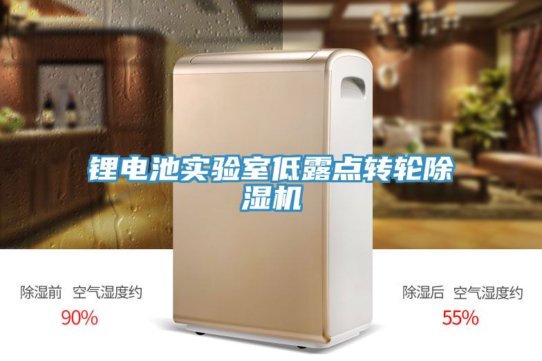 鋰電池實驗室低露點轉(zhuǎn)輪除濕機(jī)