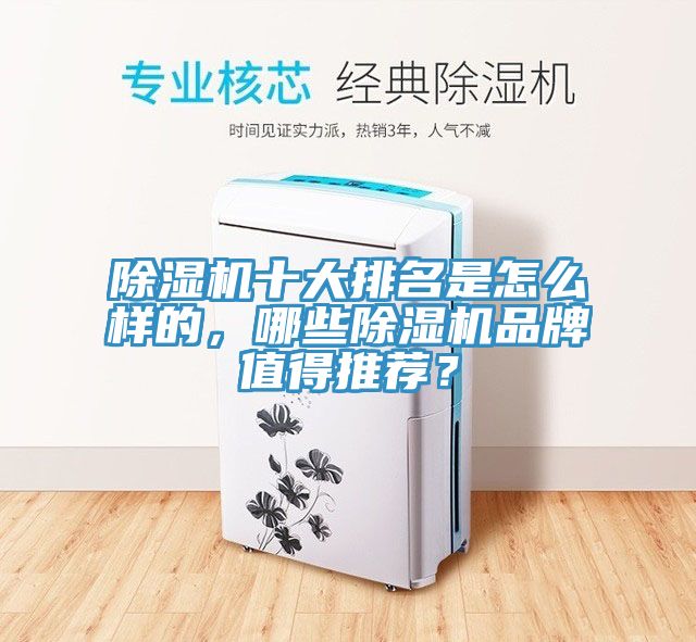 除濕機十大排名是怎么樣的，哪些除濕機品牌值得推薦？