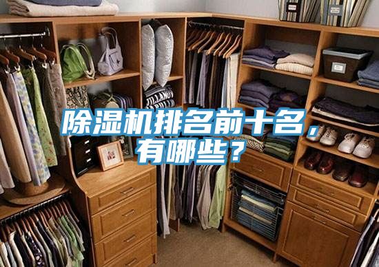 除濕機(jī)排名前十名，有哪些？