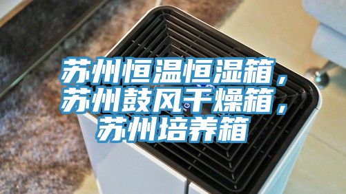 蘇州恒溫恒濕箱,蘇州鼓風干燥箱,蘇州培養箱