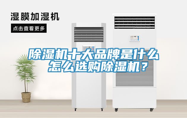 除濕機十大品牌是什么 怎么選購除濕機？