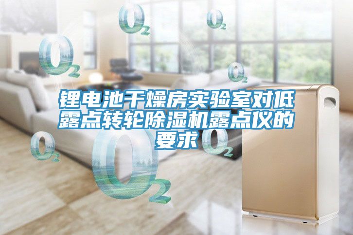 鋰電池干燥房實驗室對低露點轉(zhuǎn)輪除濕機(jī)露點儀的要求