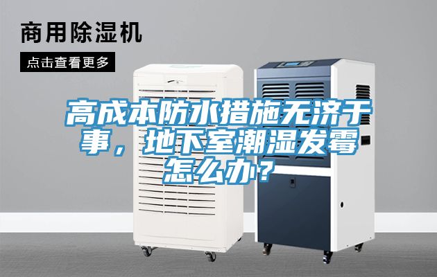 高成本防水措施無濟(jì)于事,地下室潮濕發(fā)霉怎么辦?