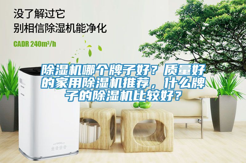 除濕機(jī)哪個(gè)牌子好？質(zhì)量好的家用除濕機(jī)推薦，什么牌子的除濕機(jī)比較好？