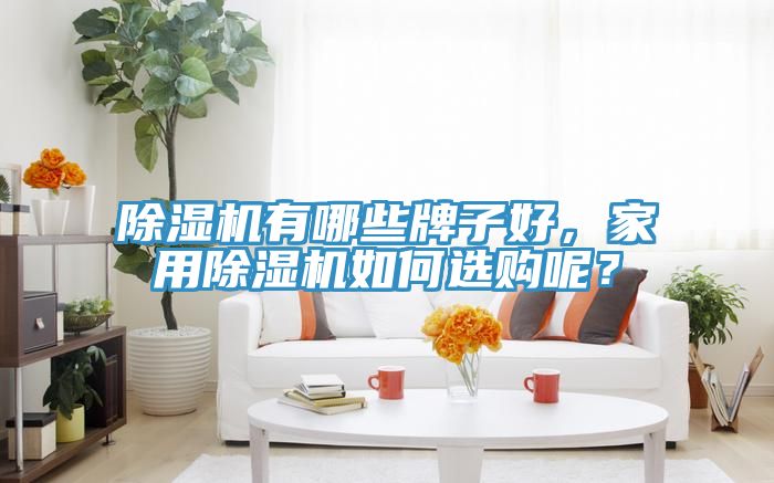 除濕機有哪些牌子好，家用除濕機如何選購呢？