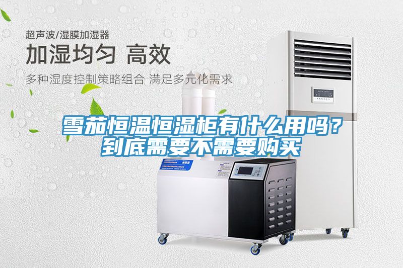 雪茄恒溫恒濕柜有什么用嗎？到底需要不需要購買