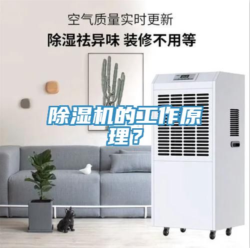 除濕機(jī)的工作原理?