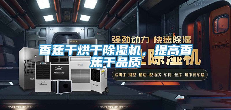 香蕉干烘干除濕機(jī)，提高香蕉干品質(zhì)