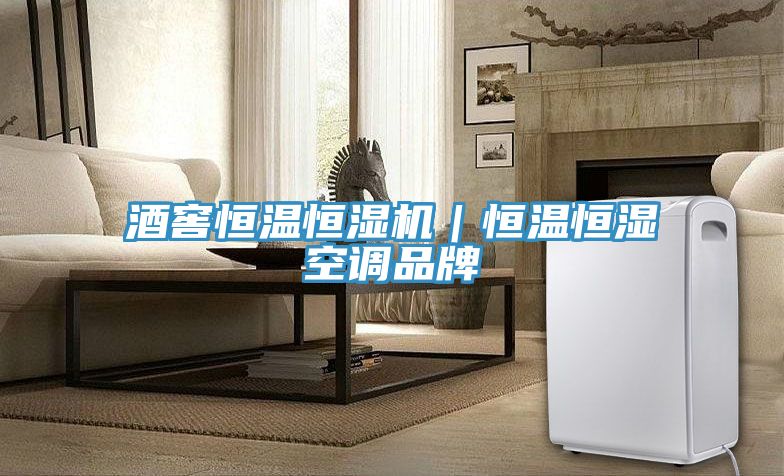 酒窖恒溫恒濕機|恒溫恒濕空調品牌