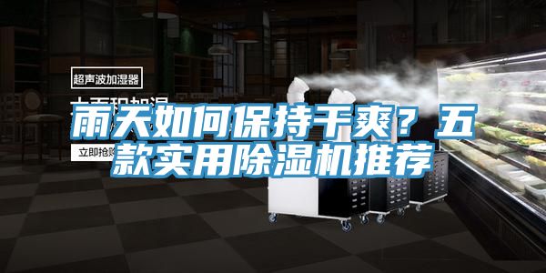 雨天如何保持干爽？五款實(shí)用除濕機(jī)推薦