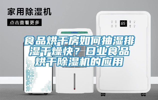 食品烘干房如何抽濕排濕干燥快?日業(yè)食品烘干除濕機(jī)的應(yīng)用