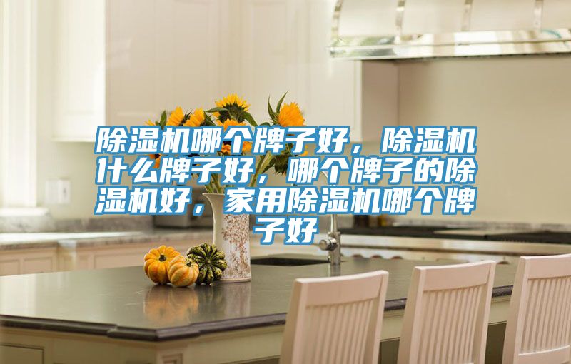 除濕機哪個牌子好，除濕機什么牌子好，哪個牌子的除濕機好，家用除濕機哪個牌子好