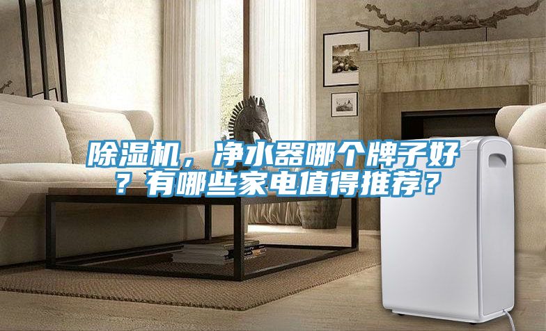除濕機，凈水器哪個牌子好？有哪些家電值得推薦？