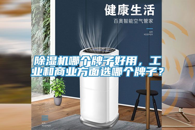 除濕機哪個牌子好用，工業(yè)和商業(yè)方面選哪個牌子？
