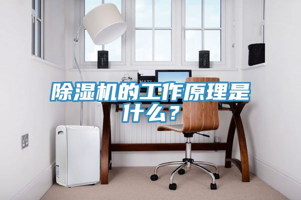 除濕機(jī)的工作原理是什么?