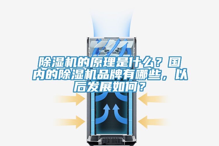 除濕機的原理是什么？國內的除濕機品牌有哪些，以后發展如何？