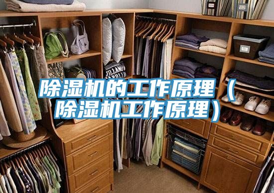 除濕機(jī)的工作原理(除濕機(jī)工作原理)